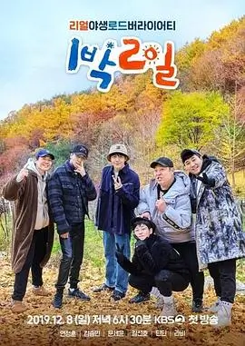 乘风破浪5 女团综艺海报